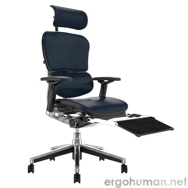 Ergonomic Office Chair with Leg Rest